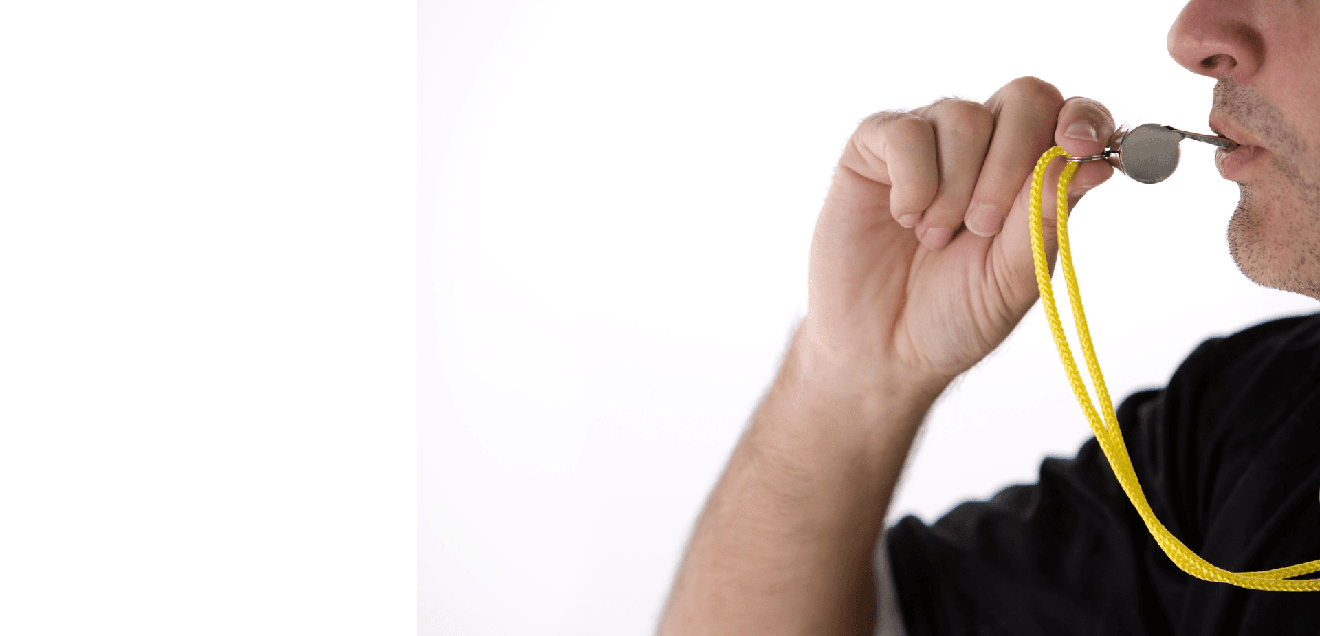 banner image